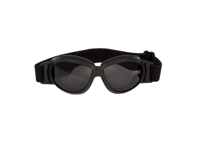 Lunettes de moto PiWear Black Hills SM (teintées | noir)